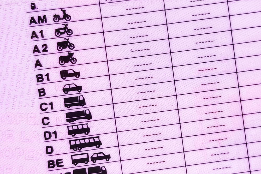 parte trasera del carnet de conducir en españa